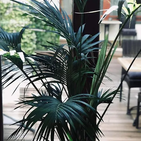 アトリウム パンツィオ ゲストハウス エステルゴム