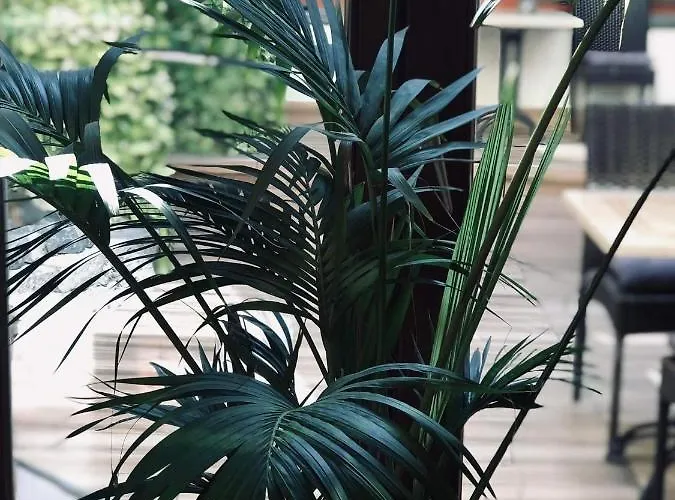 Atrium Panzio Πανσιόν Έστεργκομ